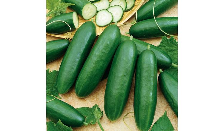 Marshalls Garden Runner Bean Seeds 'Moonlight' - RHS Recommended - 10 Seeds