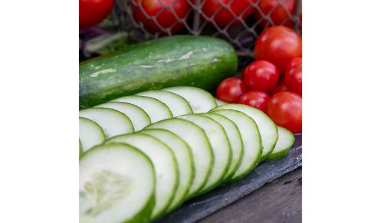 Marshalls Garden Cucumber Seeds 'Saladin' F1 Greenhouse 14" Fruits - 5 Seeds