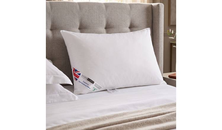 Homescapes Anti Bacterial Super Microfibre Pillow With Extra Filling