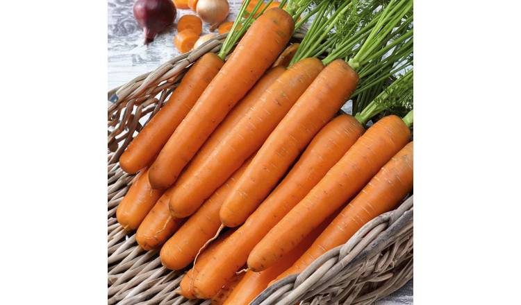 Marshalls Garden Carrot Seeds 'Nantes 2' -  Sweet Nantes Variety 1 g  5200 seeds