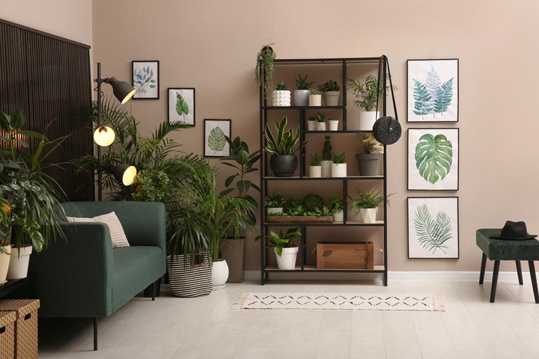 A nature-themed living room with indoor plants and leaf printed wall art.