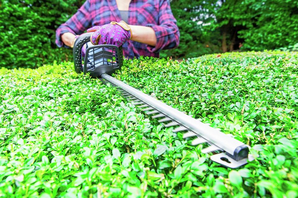 Spear & Jackson 51cm cordless with battery hedge trimmer.