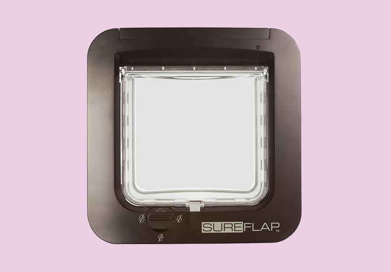 Cat Cat Accessories & Kitten Supplies Argos