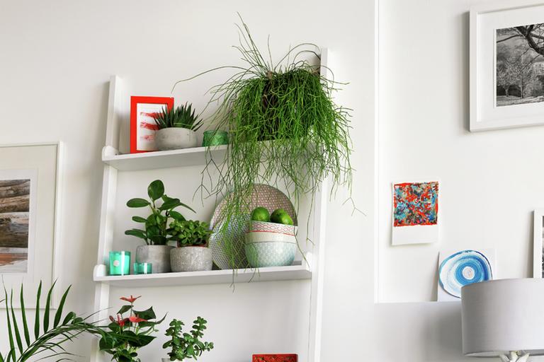 A Habitat ladder shelf in white displaying multiple indoor planters, books, wine glasses and other home products. 