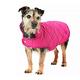 Dog clothing & accessories.