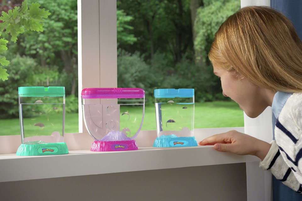 The Original Sea Monkeys Ocean Zoo STEM toy.