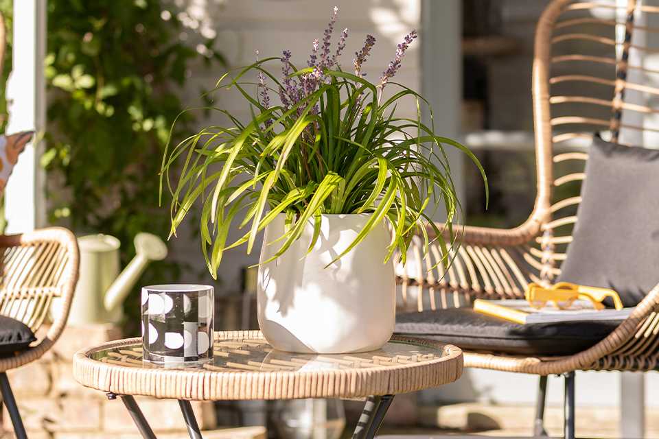 Argos bamboo garden set deals