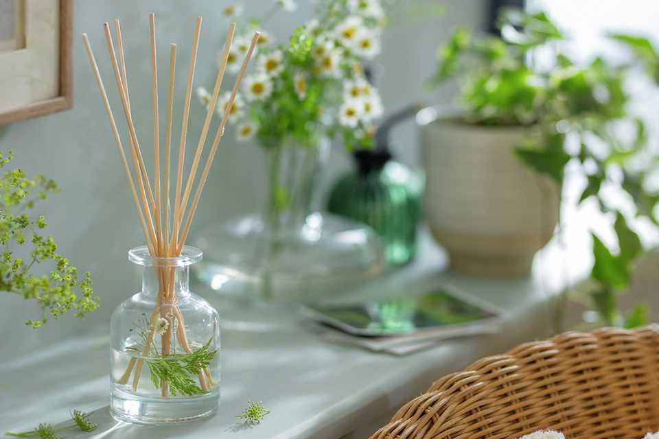 A glass reed diffuser on a mantle next to a glass vase and indoor plants.