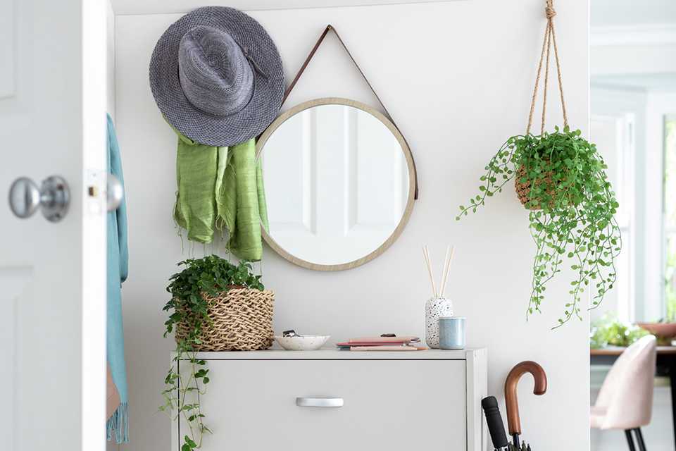 A  hallway with indoor plants, a round wall mirror, and a white shoe storage.