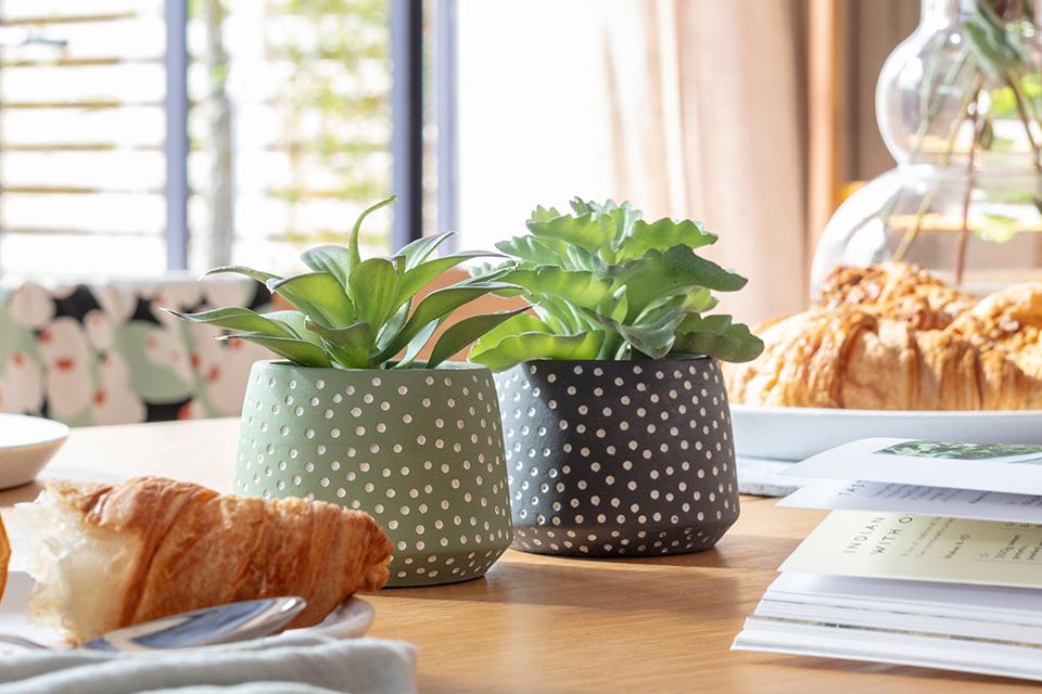 A pair of Habitat faux succulents in green and grey dotted vase on a dining table.