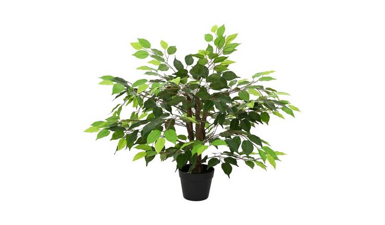 Walplus Wood Artificial Ficus Plant - Green - 73 x 16 x 60 cm
