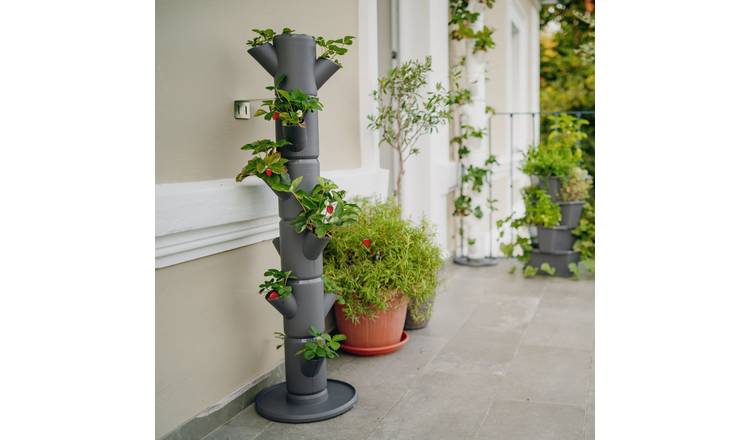 Gusta Garden Sissi Strawberry Classic Tower 6 Levels - Anthracite