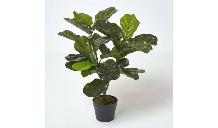 Homescapes Handcrafted Fiddle Leaf Fig Artificial Tree in Pot - Green