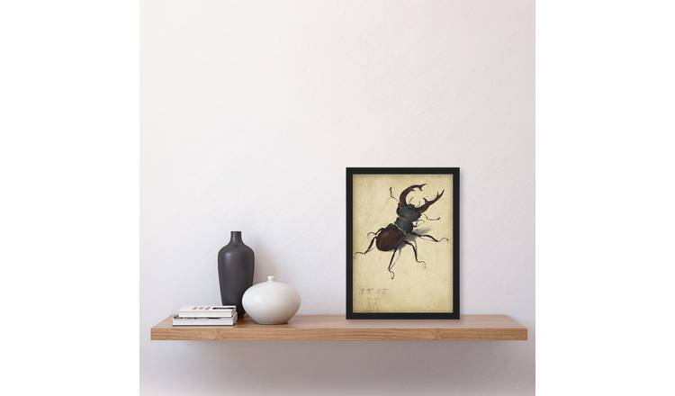 Albrecht Durer Stag Beetle Nature Study Framed Art Print - A4