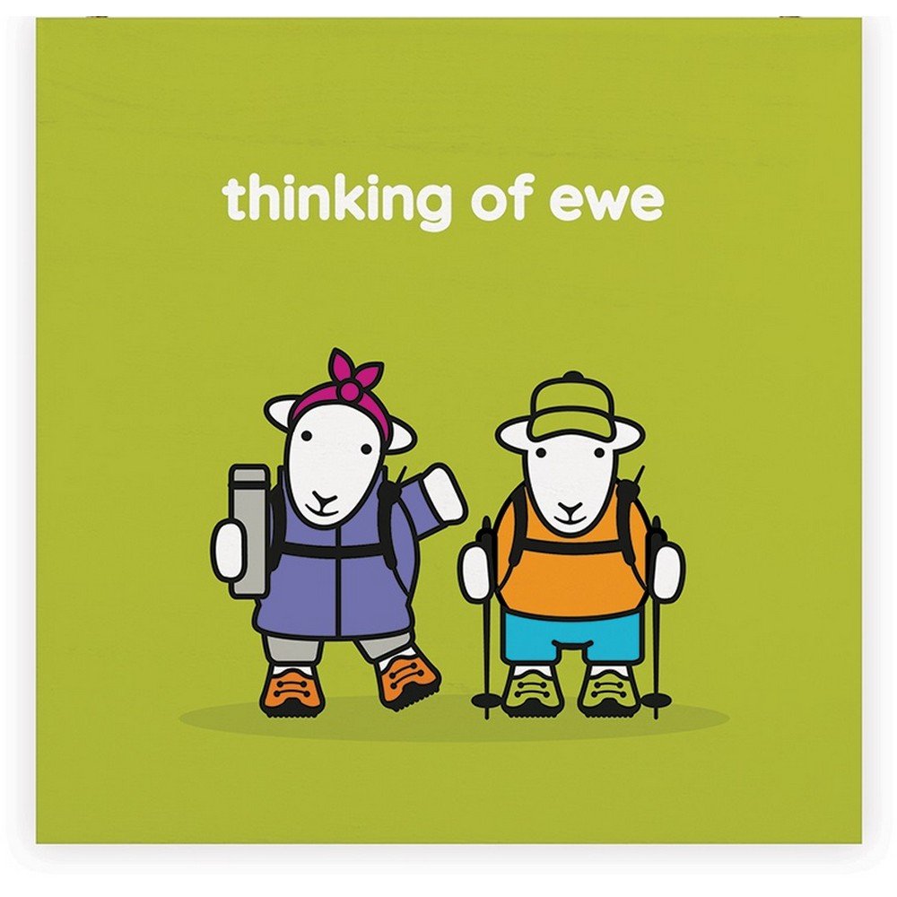 Herdy Thinking Of Ewe Plaque - Green - Image 2