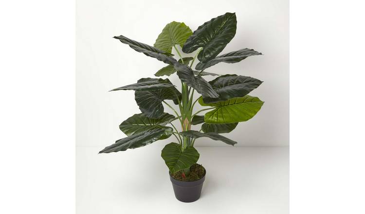 Homescapes Handcrafted Taro Artificial Plant in Pot - Green