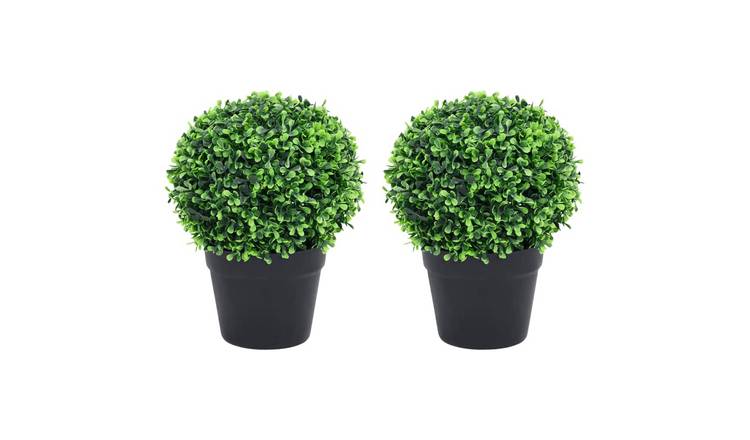 Walplus Pack of 2 Boxwood Plants with Pots Ball Shaped - Green - 32 cm