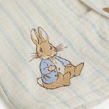 Peter Rabbit. 