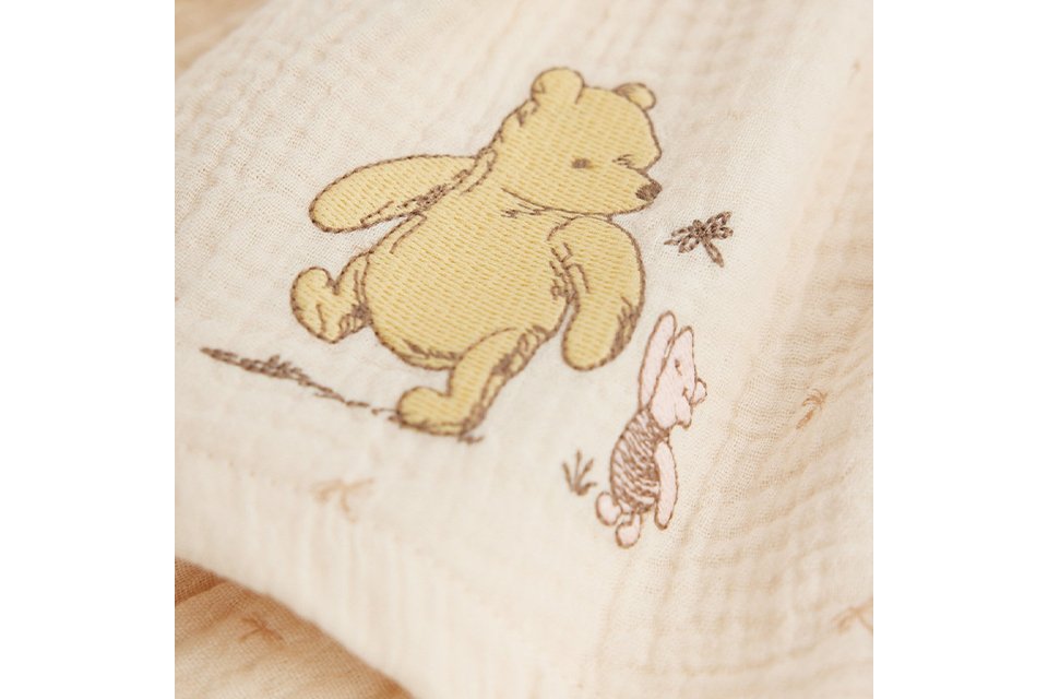 Winnie the Pooh.