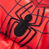 Spiderman.