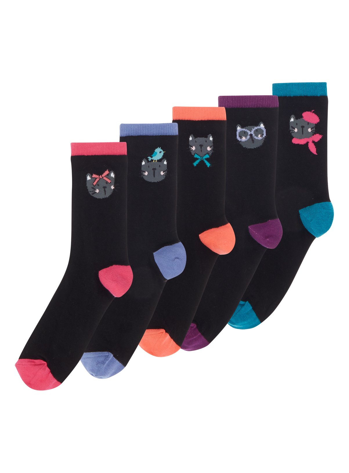 cat trainer socks