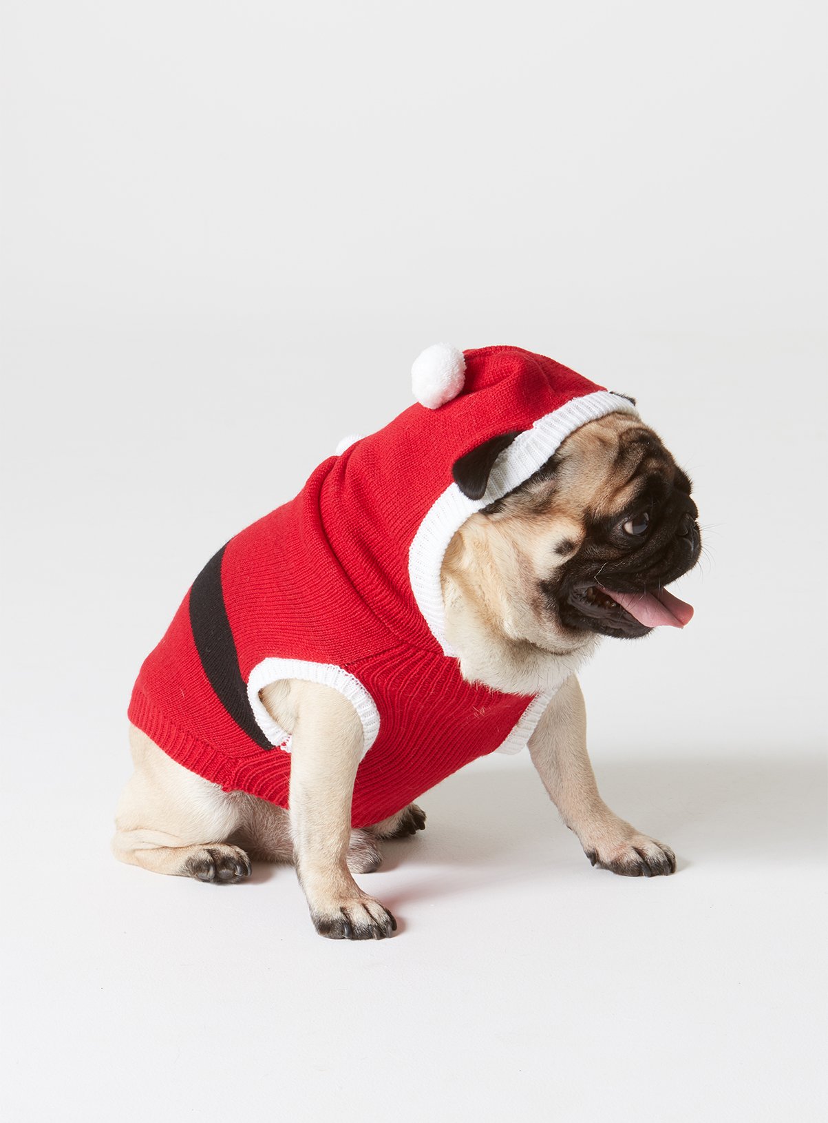 argos dog jumper