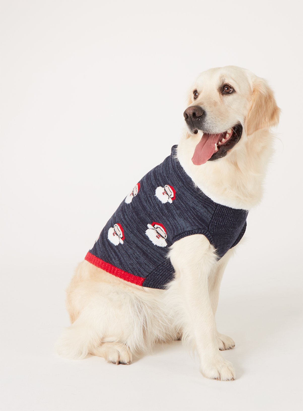 argos dog jumper