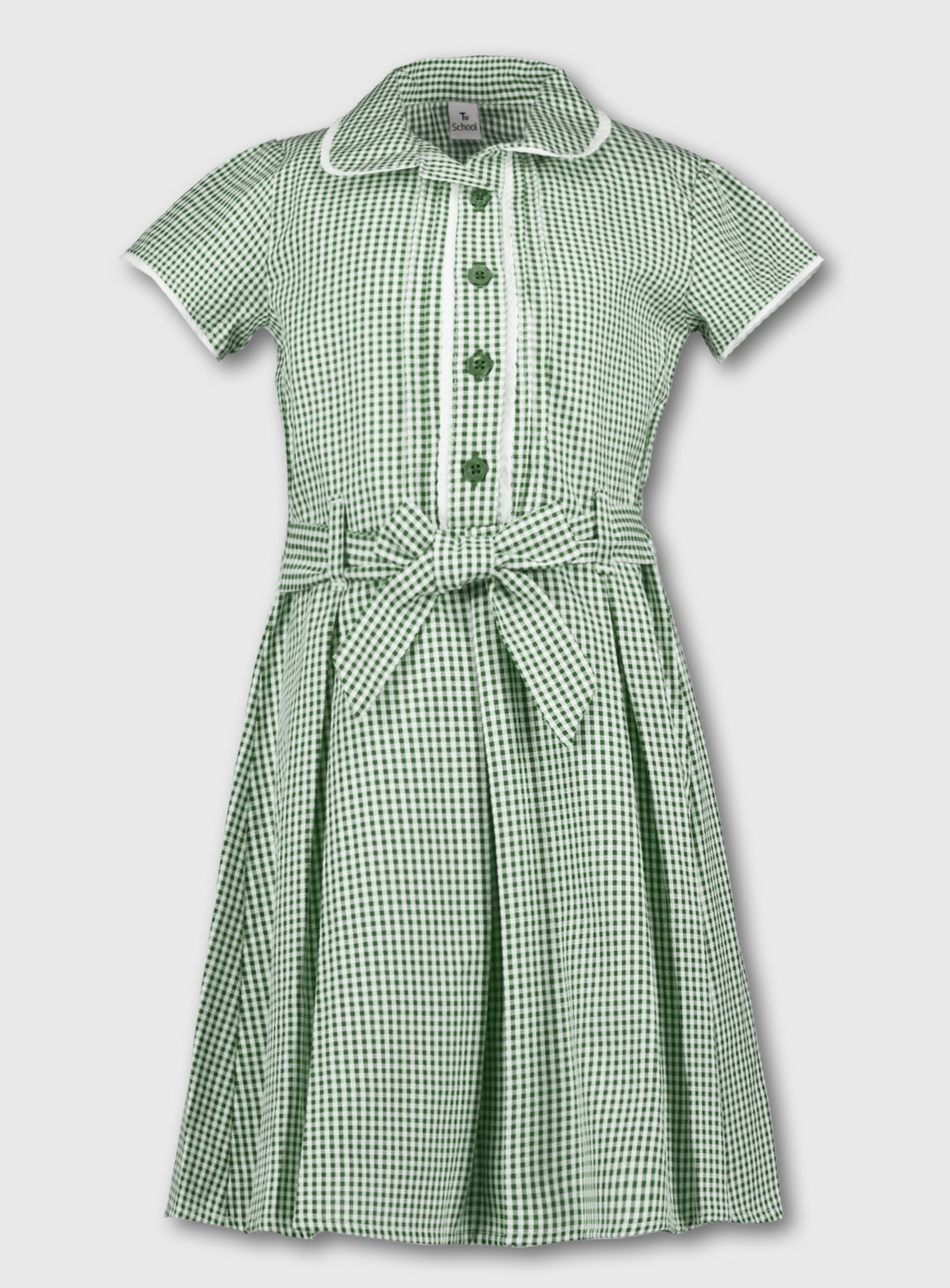 Buy Green Classic Gingham School Dress 