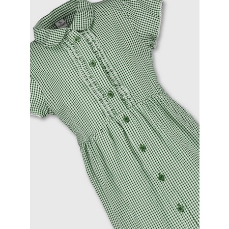 Green Plus Fit Gingham School Dress - 4 years
