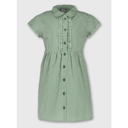 Green Plus Fit Gingham School Dress - 9 years