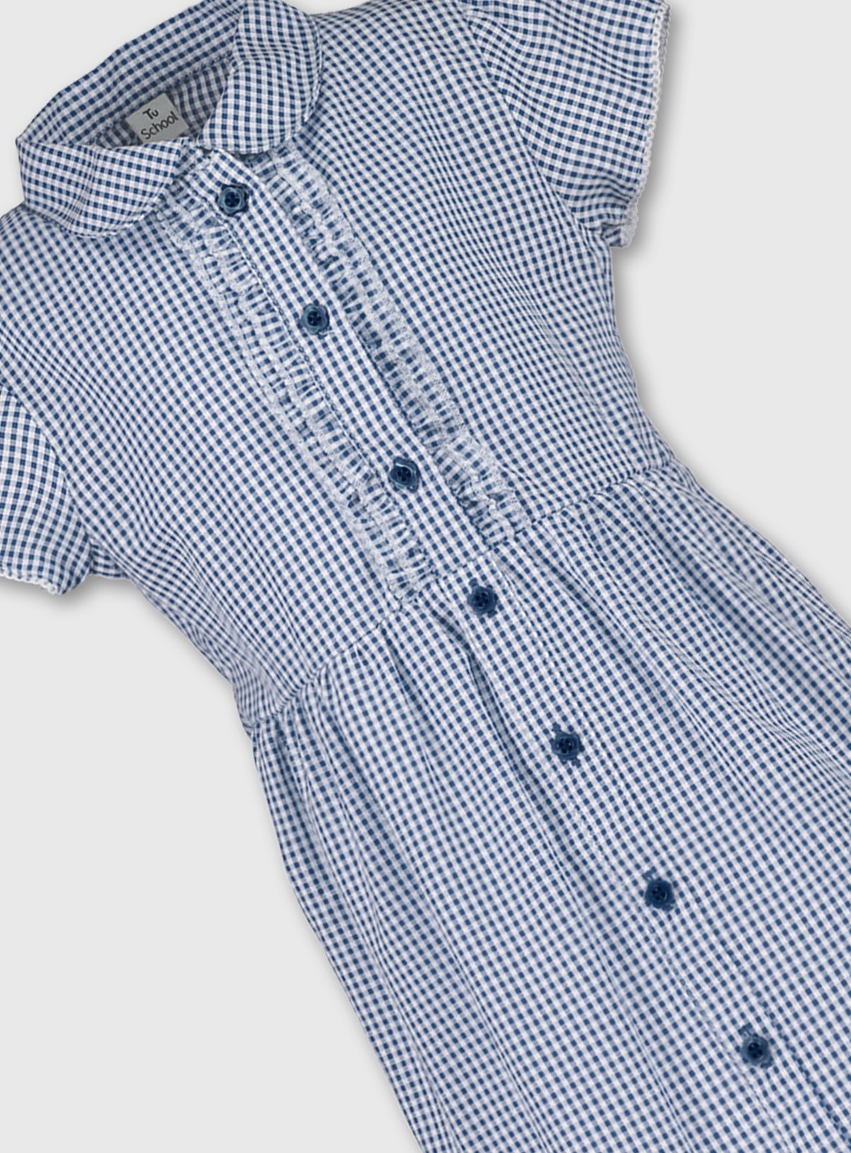 plus fit blue gingham school dress