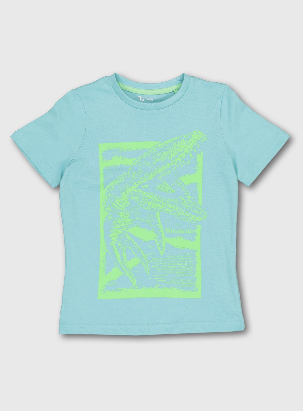 Pale Blue & Lime Dinosaur Graphic T-Shirt Review