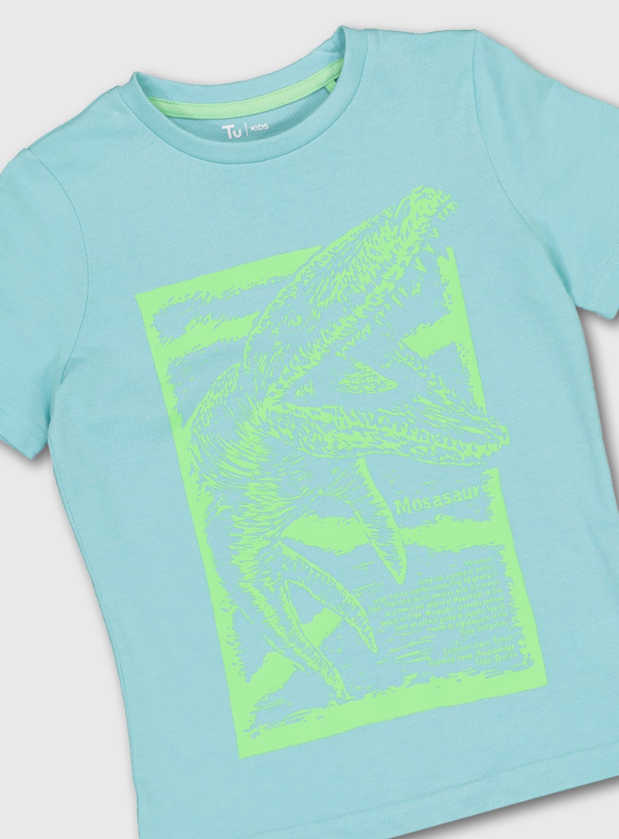 Pale Blue & Lime Dinosaur Graphic T-Shirt Review