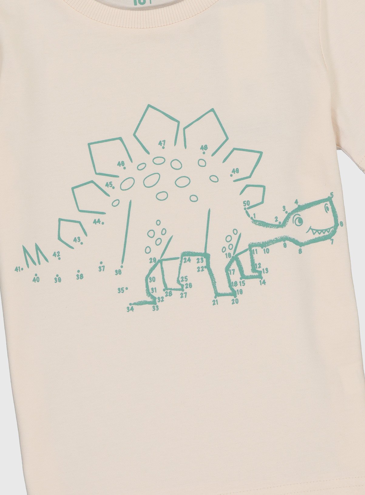 Stegosaurus T-Shirt Review