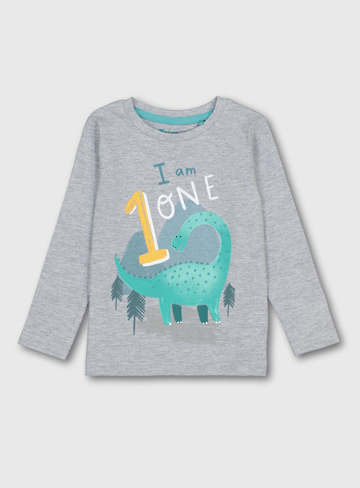 Grey 'I Am 1' Dinosaur Top Review