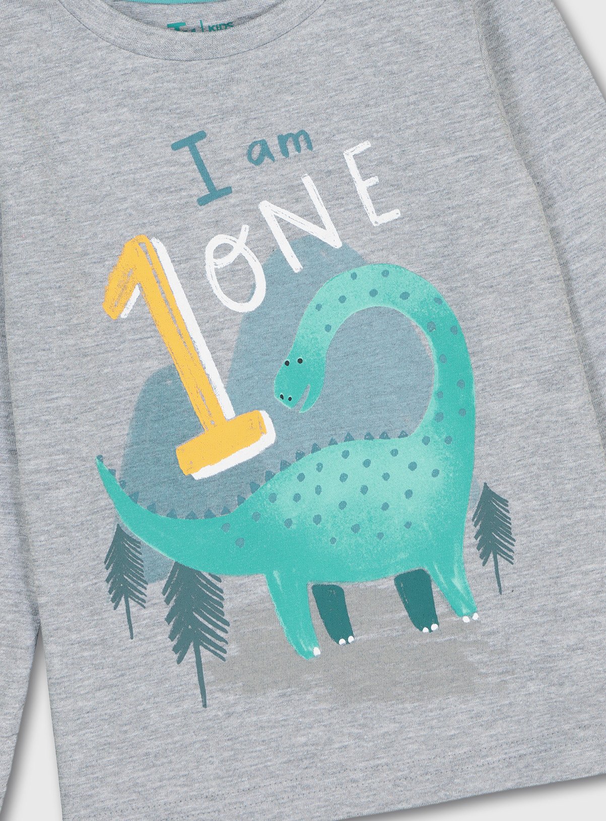 Grey 'I Am 1' Dinosaur Top Review