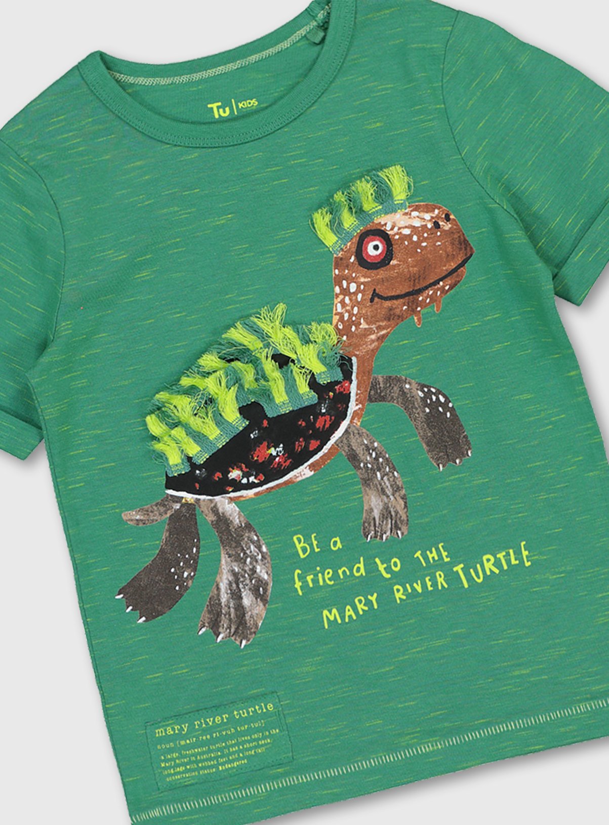 Green Endangered Species Turtle T-Shirt Review