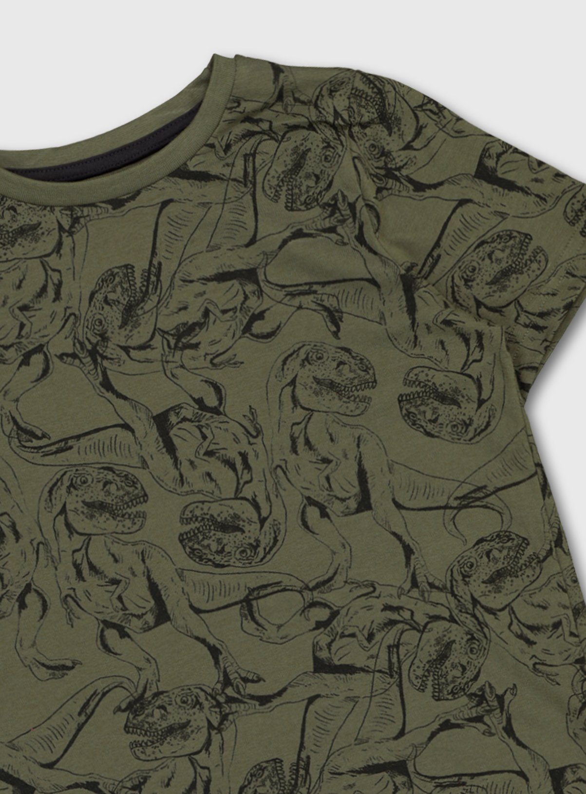 Khaki Dinosaur Print T-Shirt Review