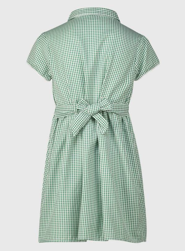 Plus fit shop gingham dress