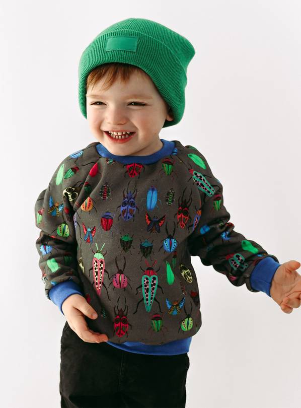 Buy FRED AND NOAH Beautiful Bug Sweatshirt - 5-6 Years | Jumpers and hoodies  | Tu