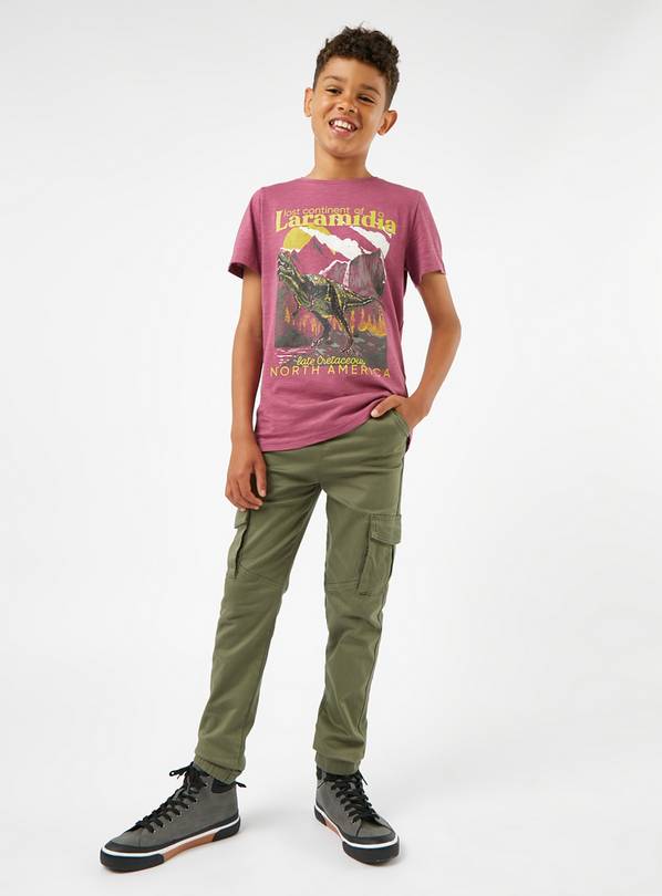 Red Dinosaur Mountain Graphic T-Shirt  13 years