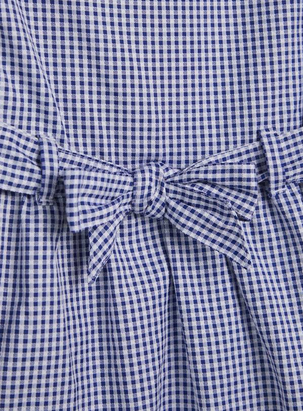 Plus fit blue on sale gingham school dress