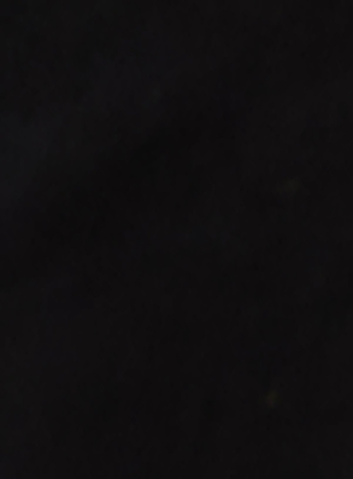 BURTON Black Chino Shorts 34 - Image 4 thumbnail