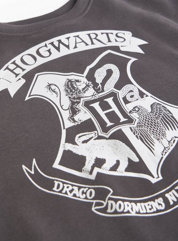Harry Potter: A Hogwarts Express Adventure train ride in 2026