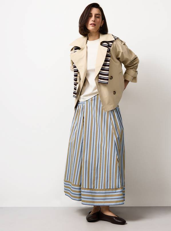 Blue Stripe Woven Midaxi Skirt 14