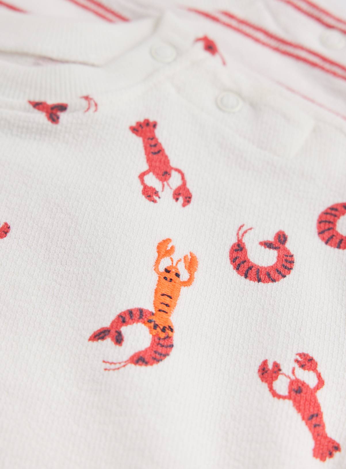 Lobster Print T-Shirts 5 Pack Up to 3 mths - Image 2