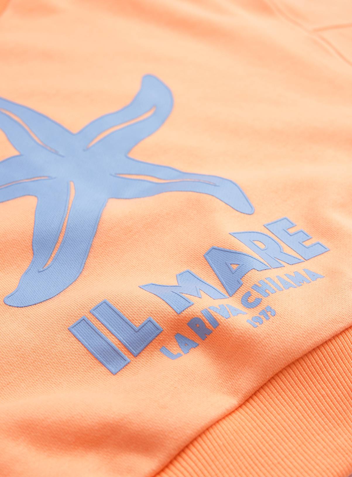 Coral Il Mare Graphic Sweatshirt 9 years - Image 2