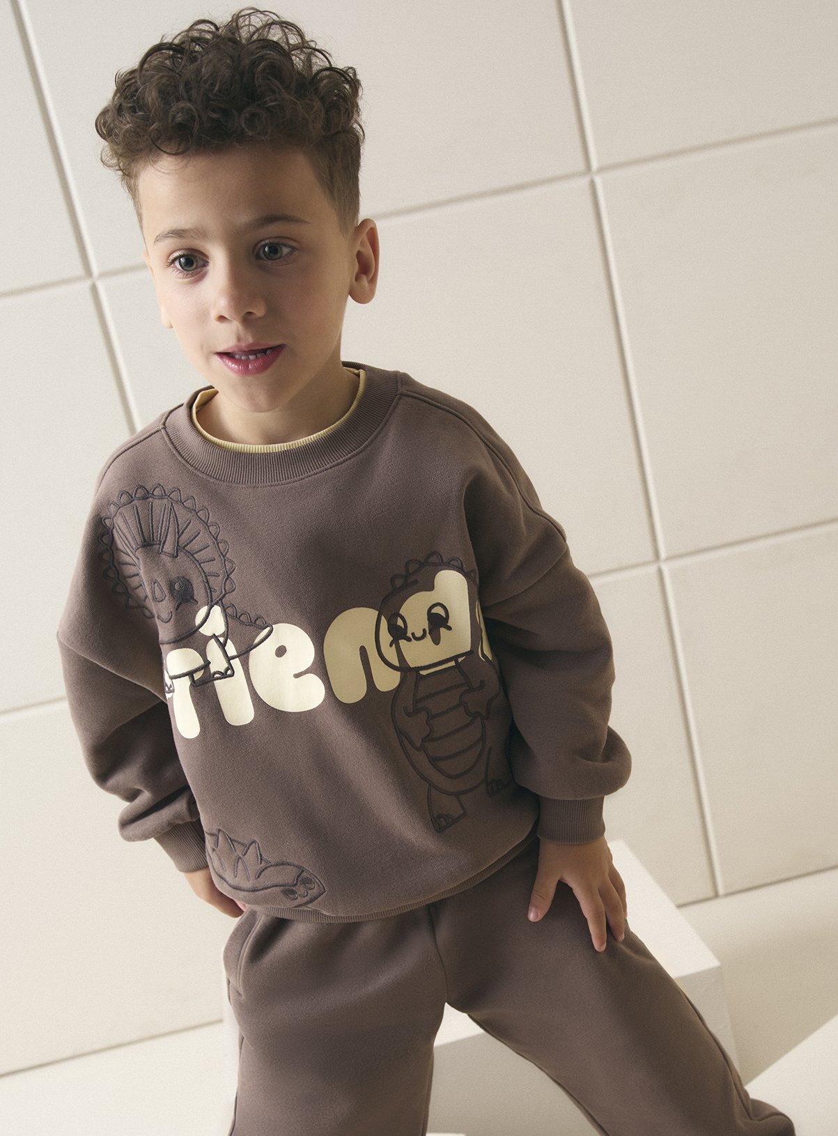 Brown Dino Friends Sweatshirt 7-8 years - Image 1 thumbnail