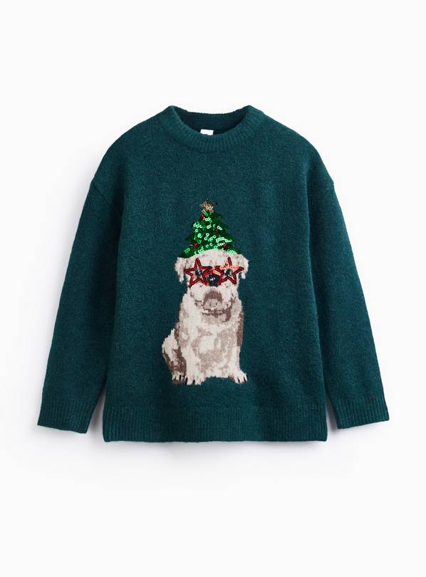 Family Matching Teal Sequin Bulldog Christmas Jumper 14 years