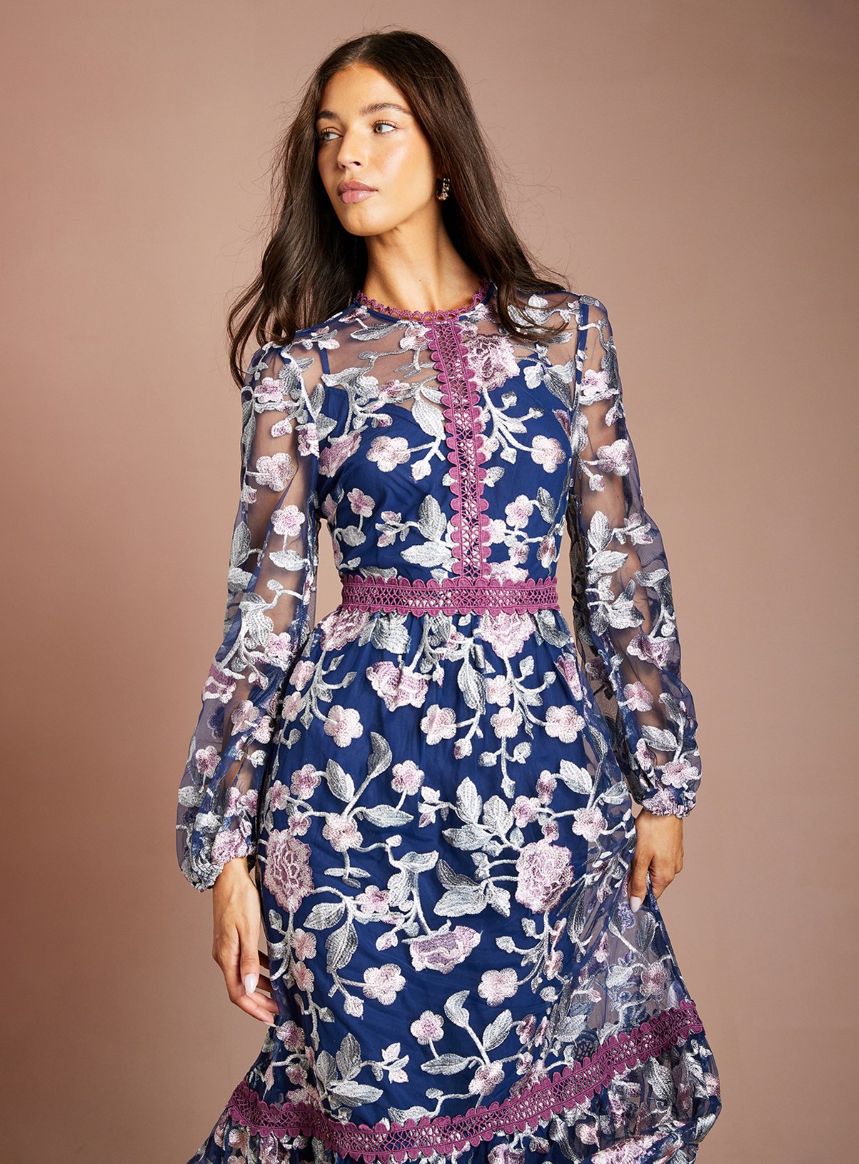 COAST Embroidered Mesh Long Sleeve Midi Dress 10 - Image 4 thumbnail